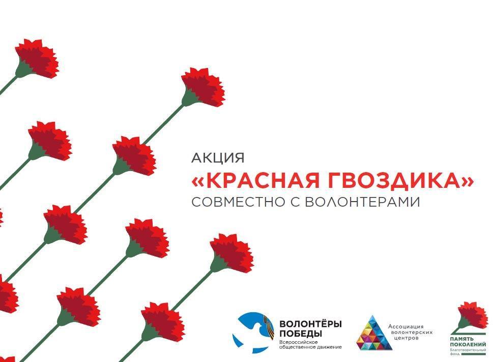 Орловская область присоединится к Всероссийской акции «Красная гвоздика»