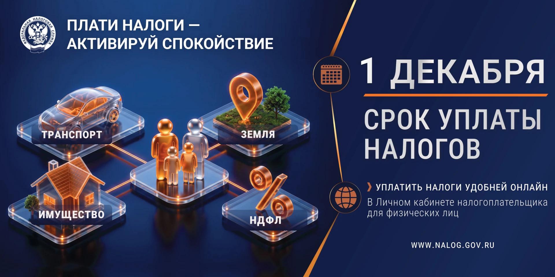 Федеральная налоговая служба напоминает: до 1 декабря необходимо уплатить налоги за 2025 год