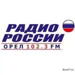 В прямом эфире на "Радио России. Орёл"